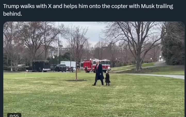 Watch Tran Maico USA Cười Té Ghế Với Màn Tẩy Chay Elon Của Tns